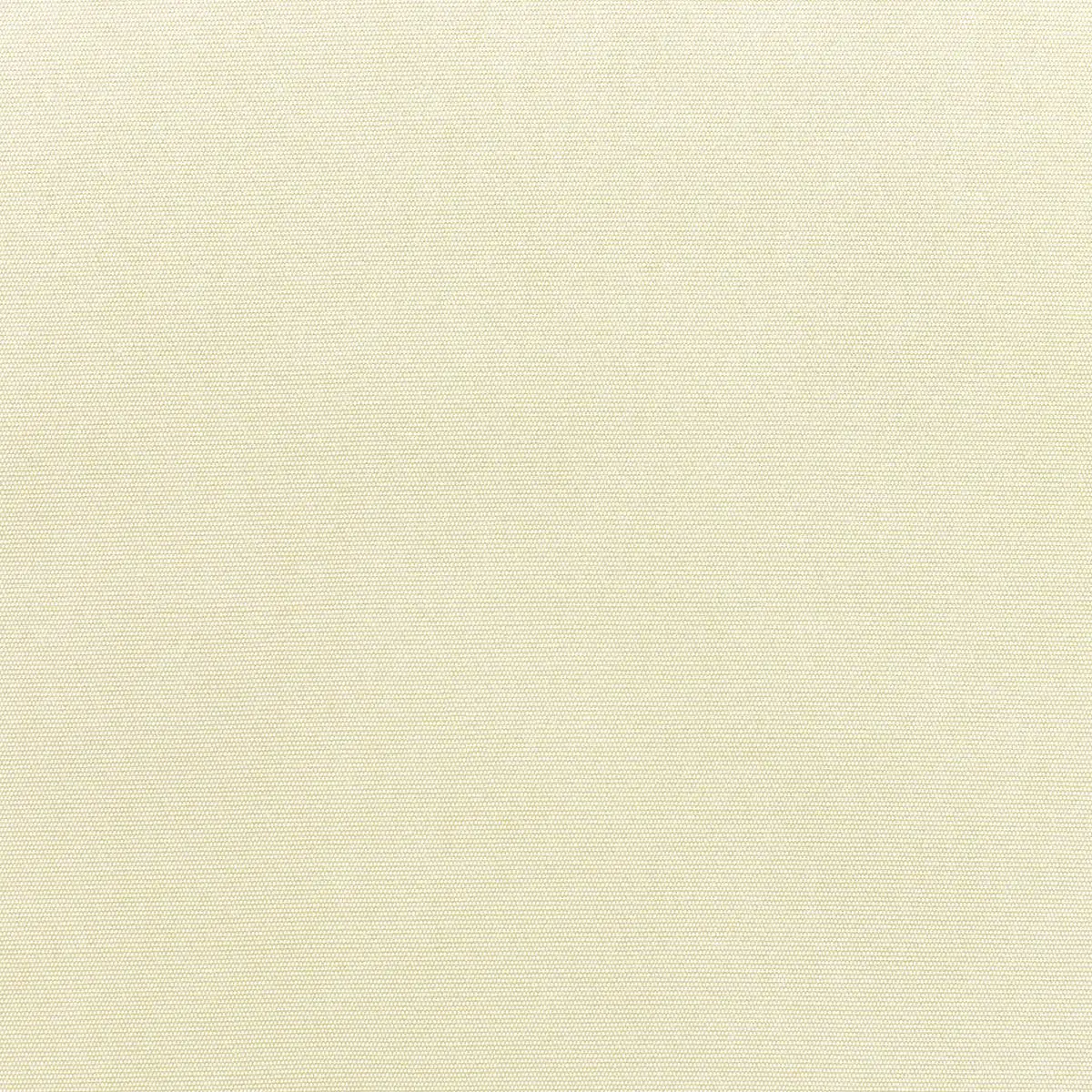 Canvas-Canvas_5453-0000