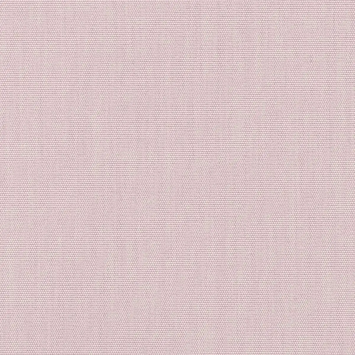 Canvas-Dusk_5491-0000
