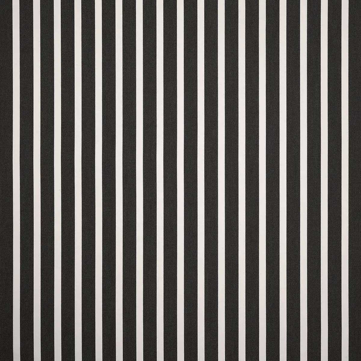 Shore-Classic_58033-0000
